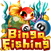 Câu Cá Bingo 8kbt
